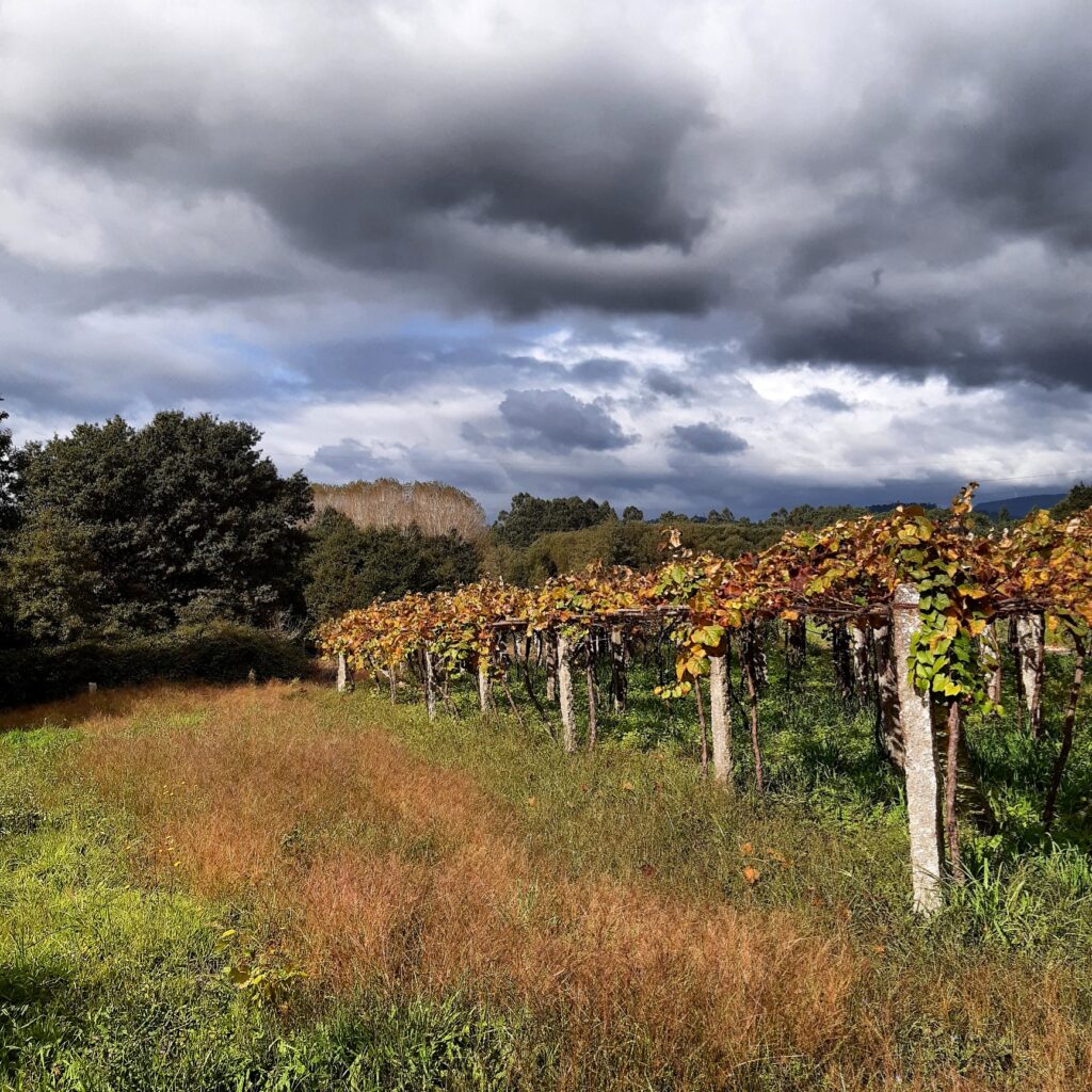 Fall landscapes in Galicia