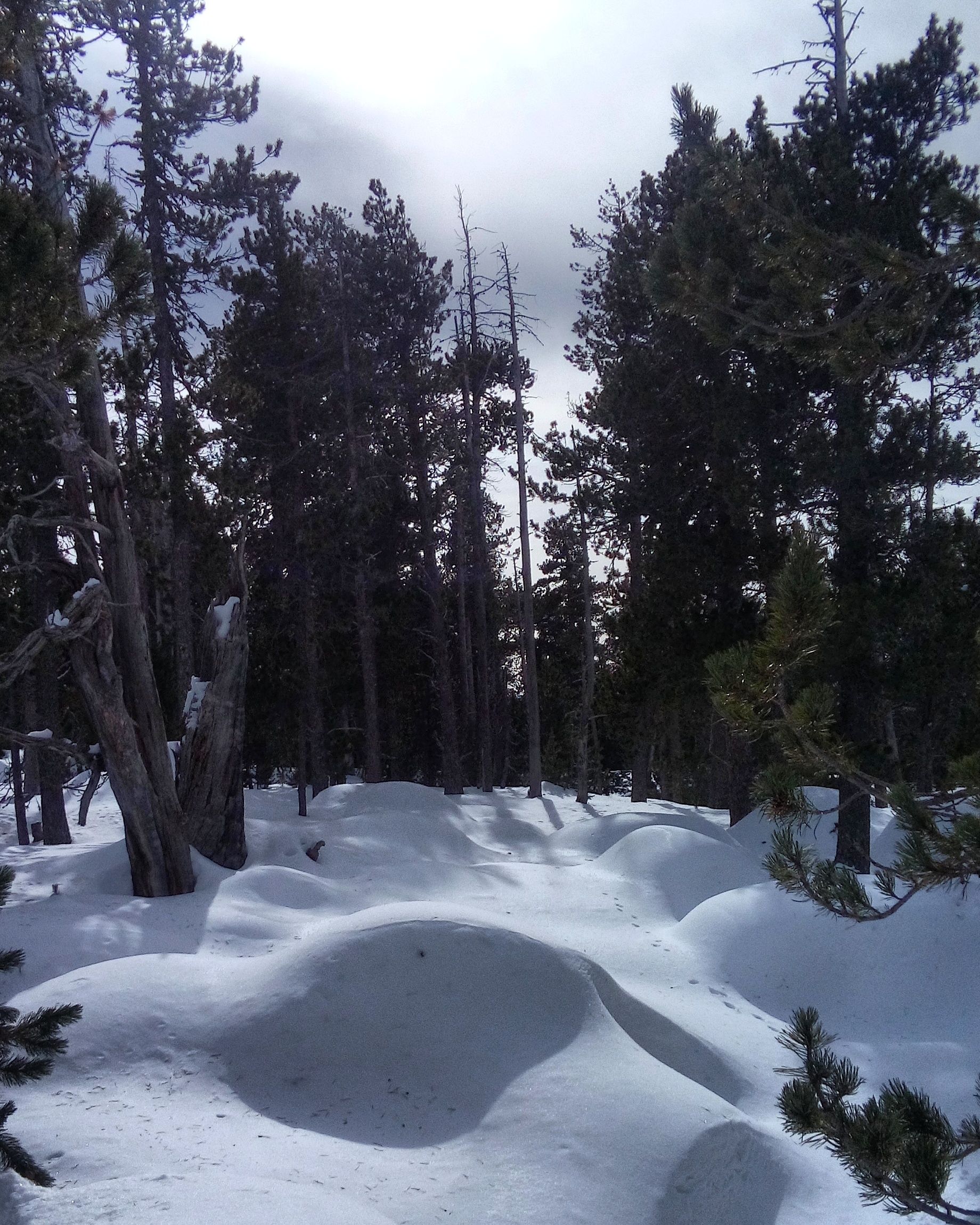 Snowshoeing close to Barcelona