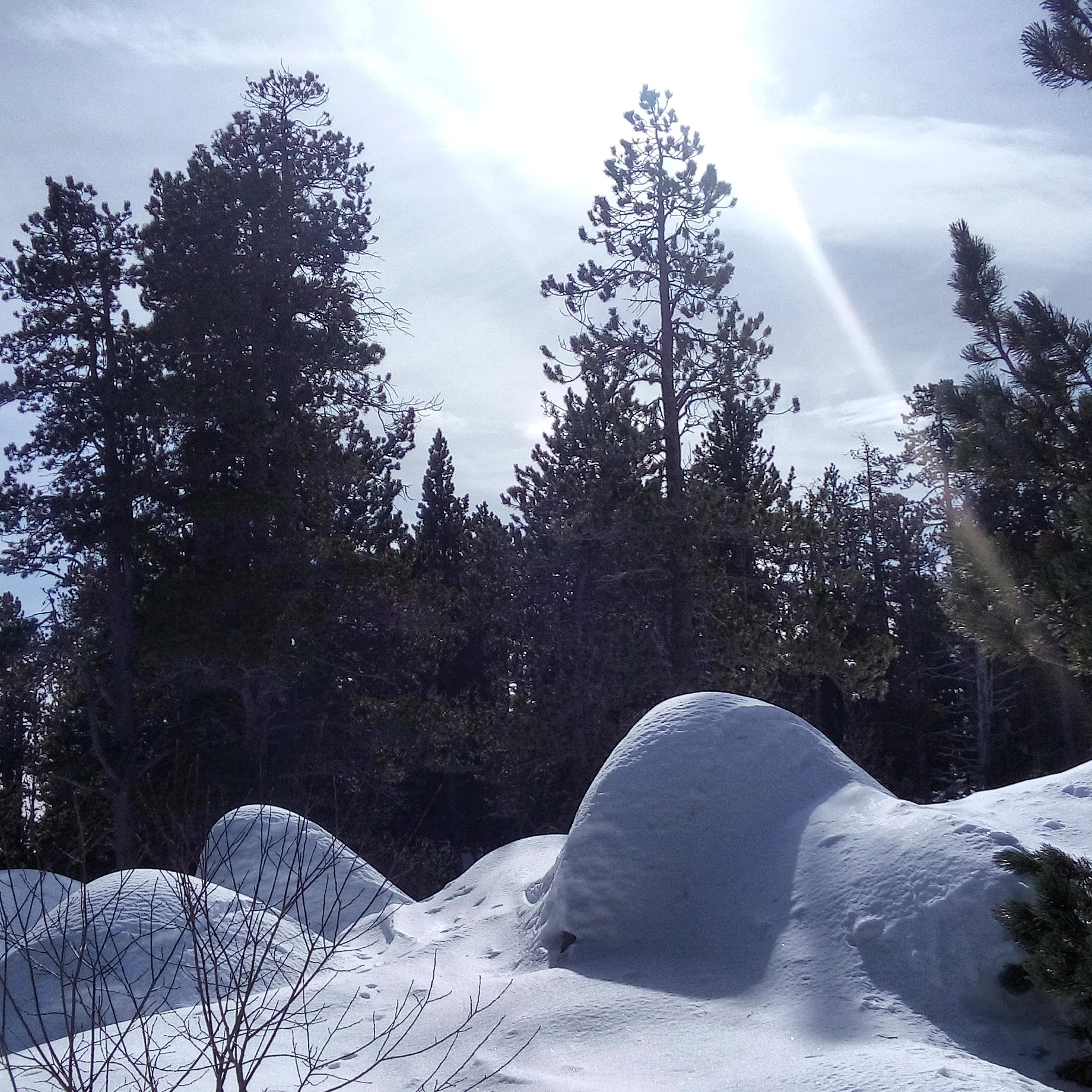 Snowshoeing close to Barcelona