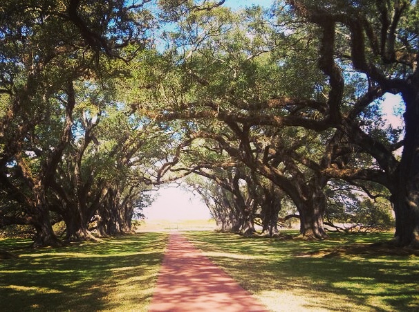 Things to do in New Orleans - visit the Oak Alley plantation