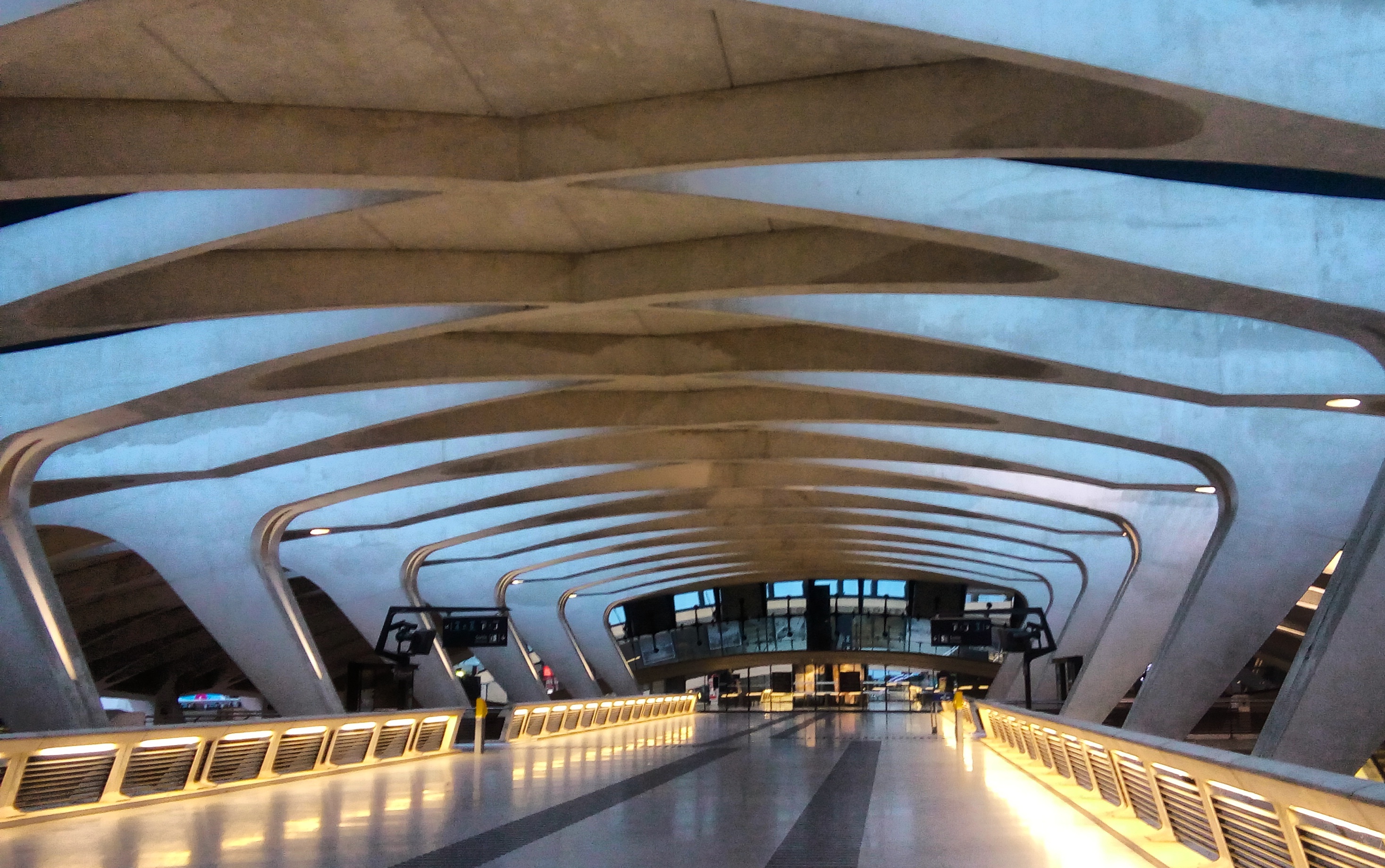 Highlights of Lyon: Saint Exupery train station