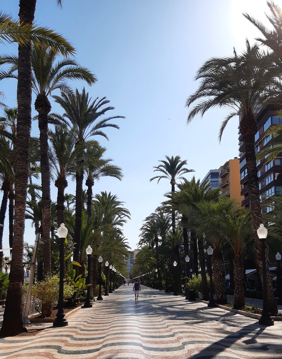 Paseo de la Explanada Alicante - travelling in the covid era