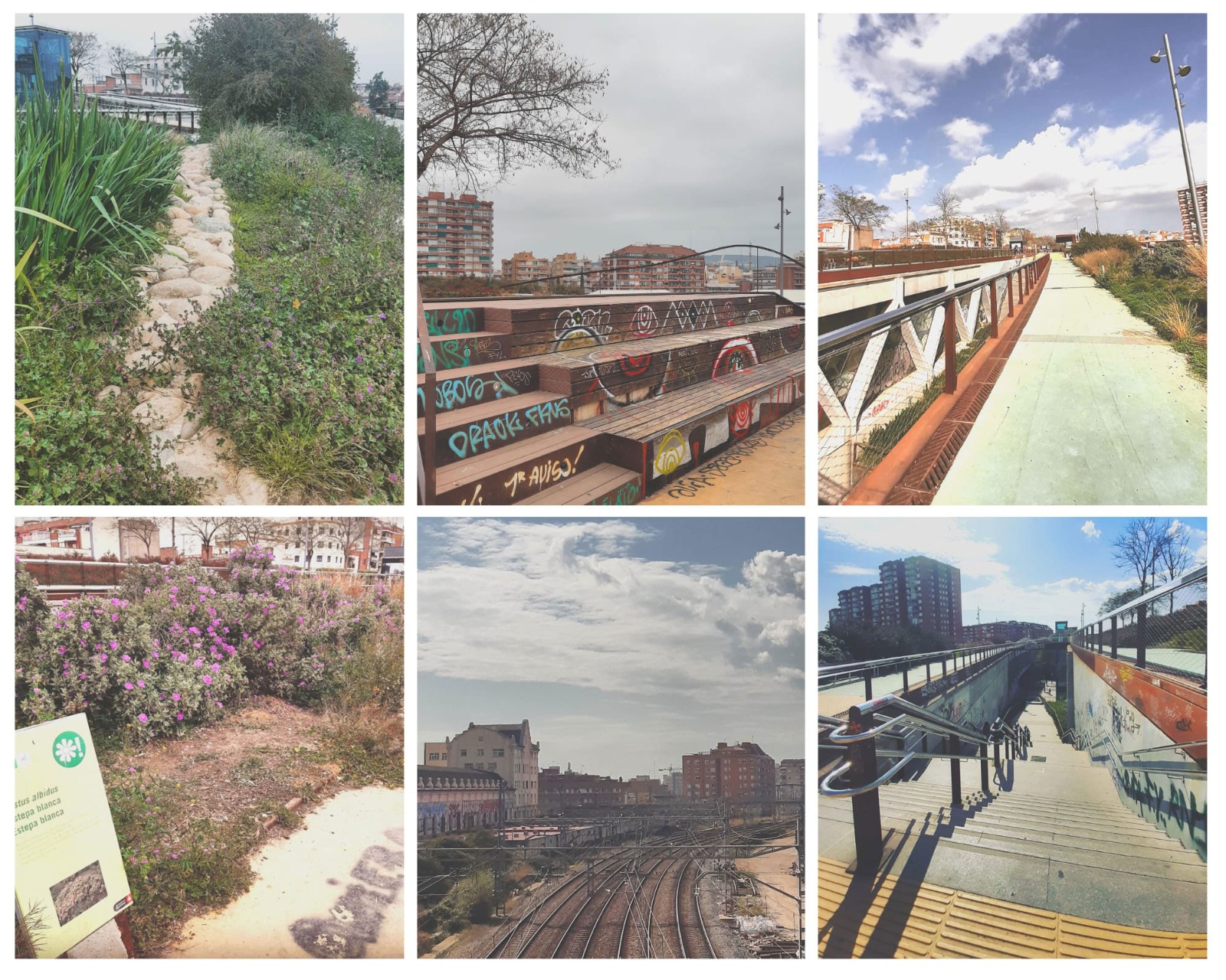 The high line gardens of Barcelona