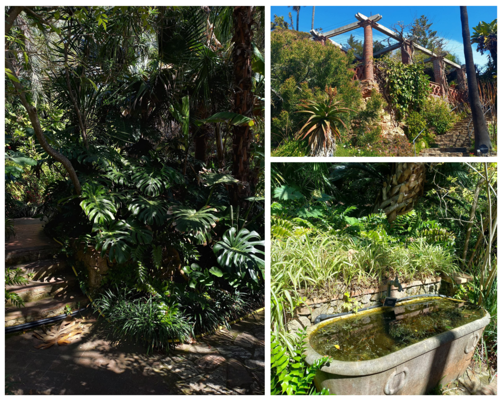 Marimutra Botanic Garden, to visit on your day trip to Blanes