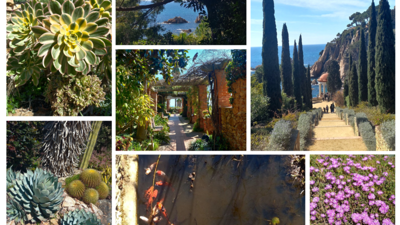 Marimutra Botanic Garden, to visit on a day trip to Blanes