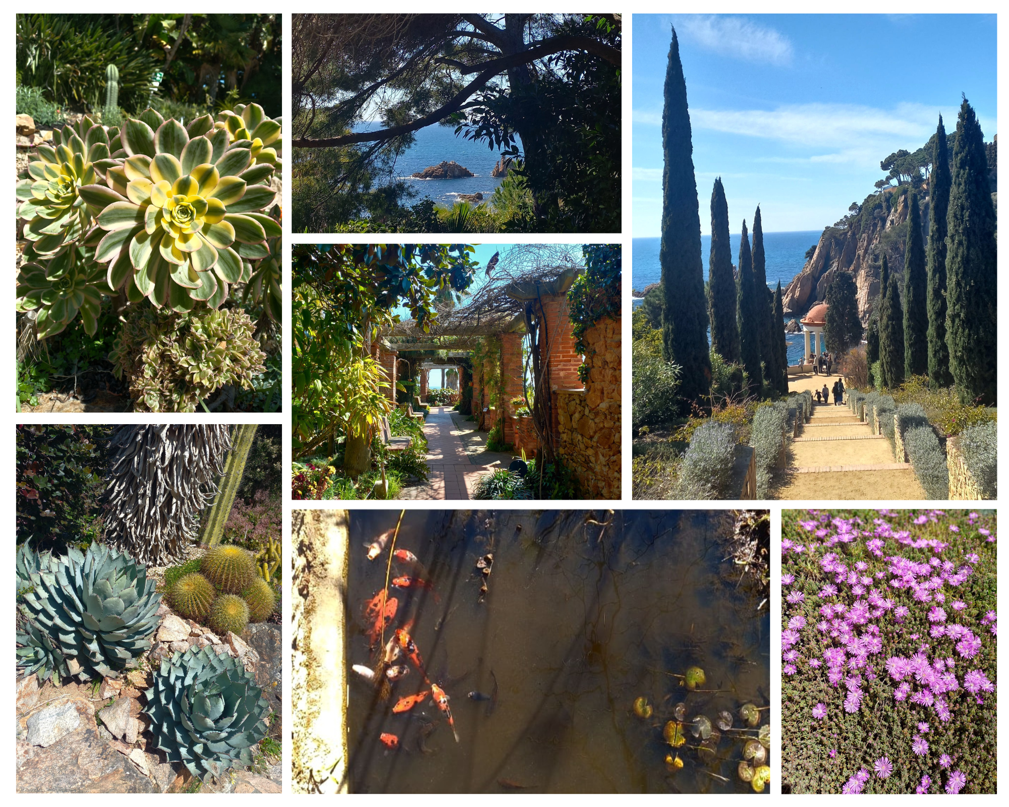 Marimutra Botanic Garden, to visit on a day trip to Blanes